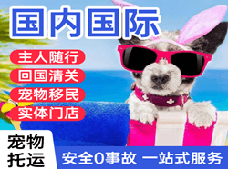 莎车叶尔羌机场空运国际宠物托运 【国